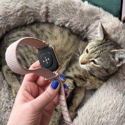 Apple iPad Mini 2024 7th Generation - фото 10