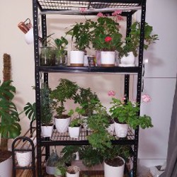 Увлажнитель - фото 1