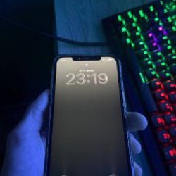 IPhone 12 Pro Max Gold - фото 2