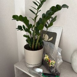 Коврик для йоги - фото 3