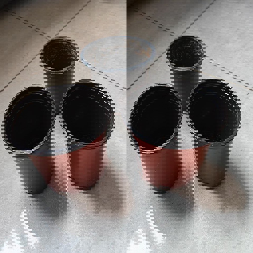 Пластиковый горшок