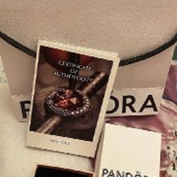 Домик из мультфильма 'верх' - фото 1