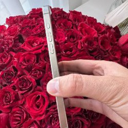 IPhone 15 Pro Max - фото 3