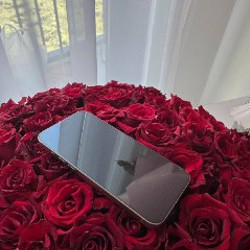 IPhone 15 Pro Max - фото 5