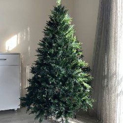 Бант - фото 1