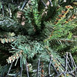 Бант - фото 2