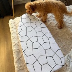 Органайзер - фото 2