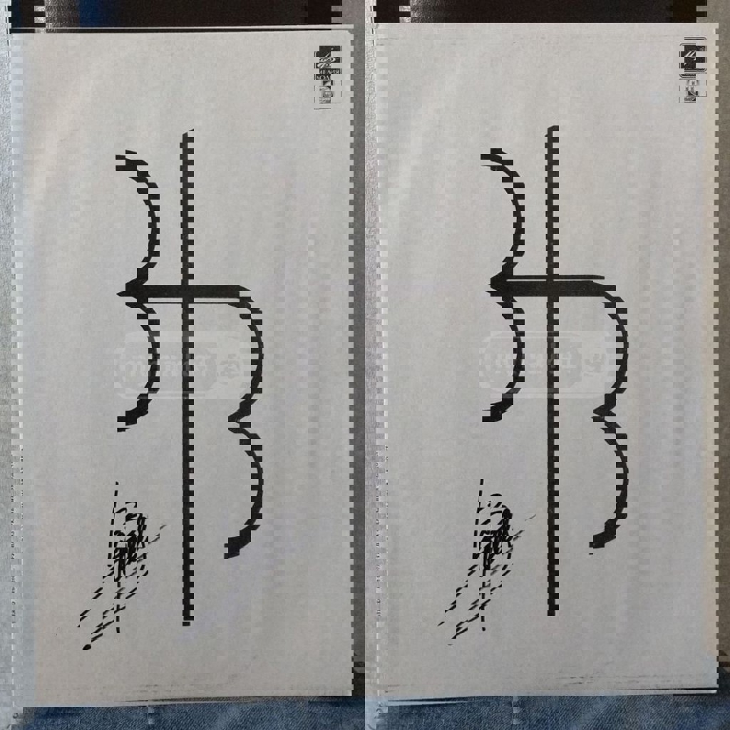 Зеркальный звездочет (Mirror Stargazer) - First (signed)