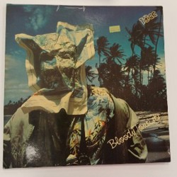 Зеркальный звездочет (Mirror Stargazer) - First (signed) - фото 2