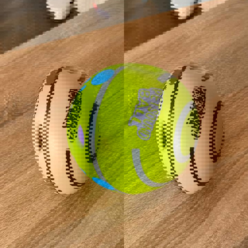 Игрушка-мяч для собак