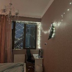 Пальма - фото 6