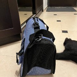 Сумка женская - фото 7