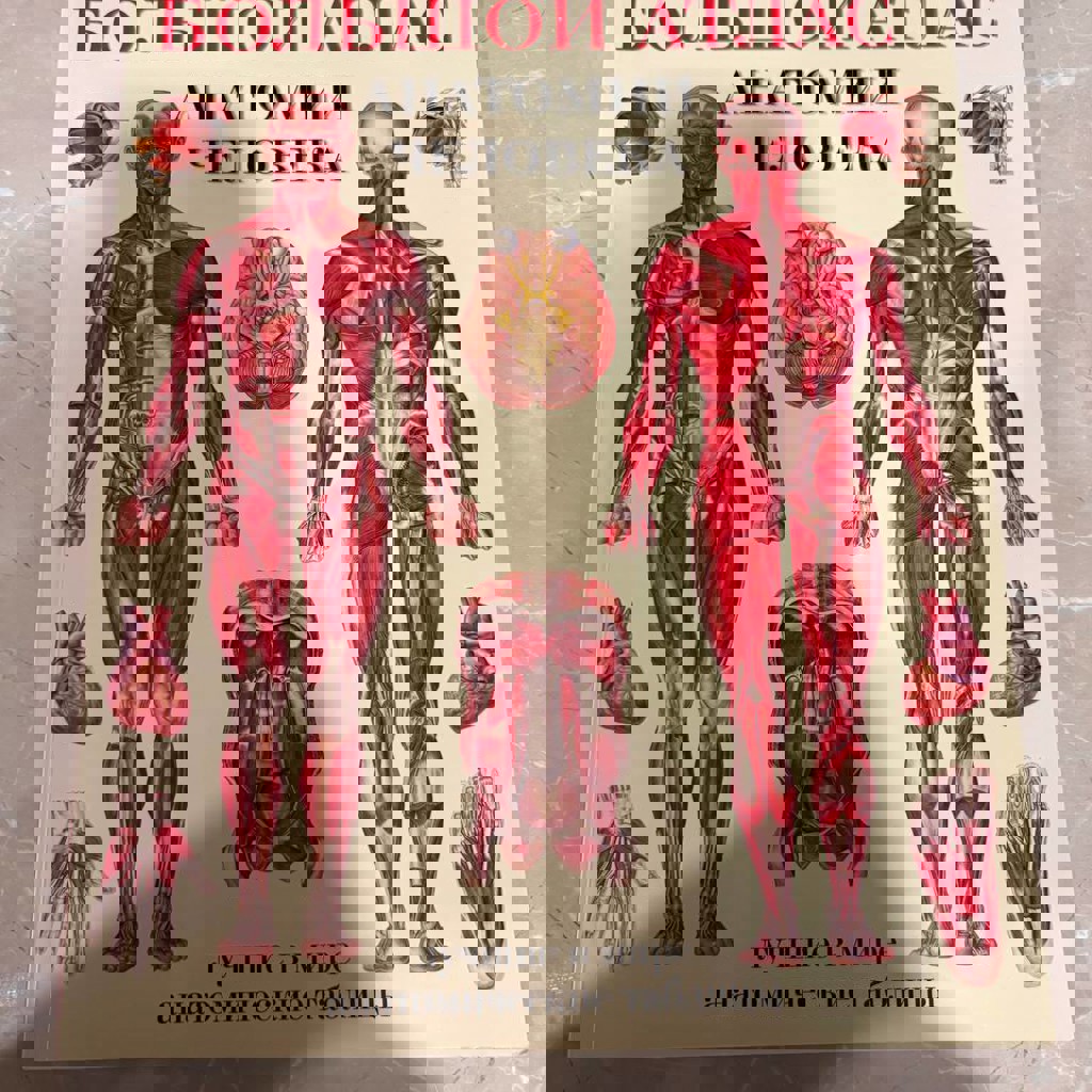 Атлас по Анатомии