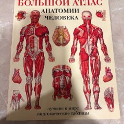 Атлас по Анатомии - фото 1