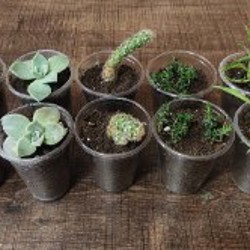 Шлёпанцы - фото 7