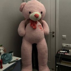 Розовый плюшевый медведь - фото 2