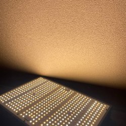 Лампа для растений - фото 4