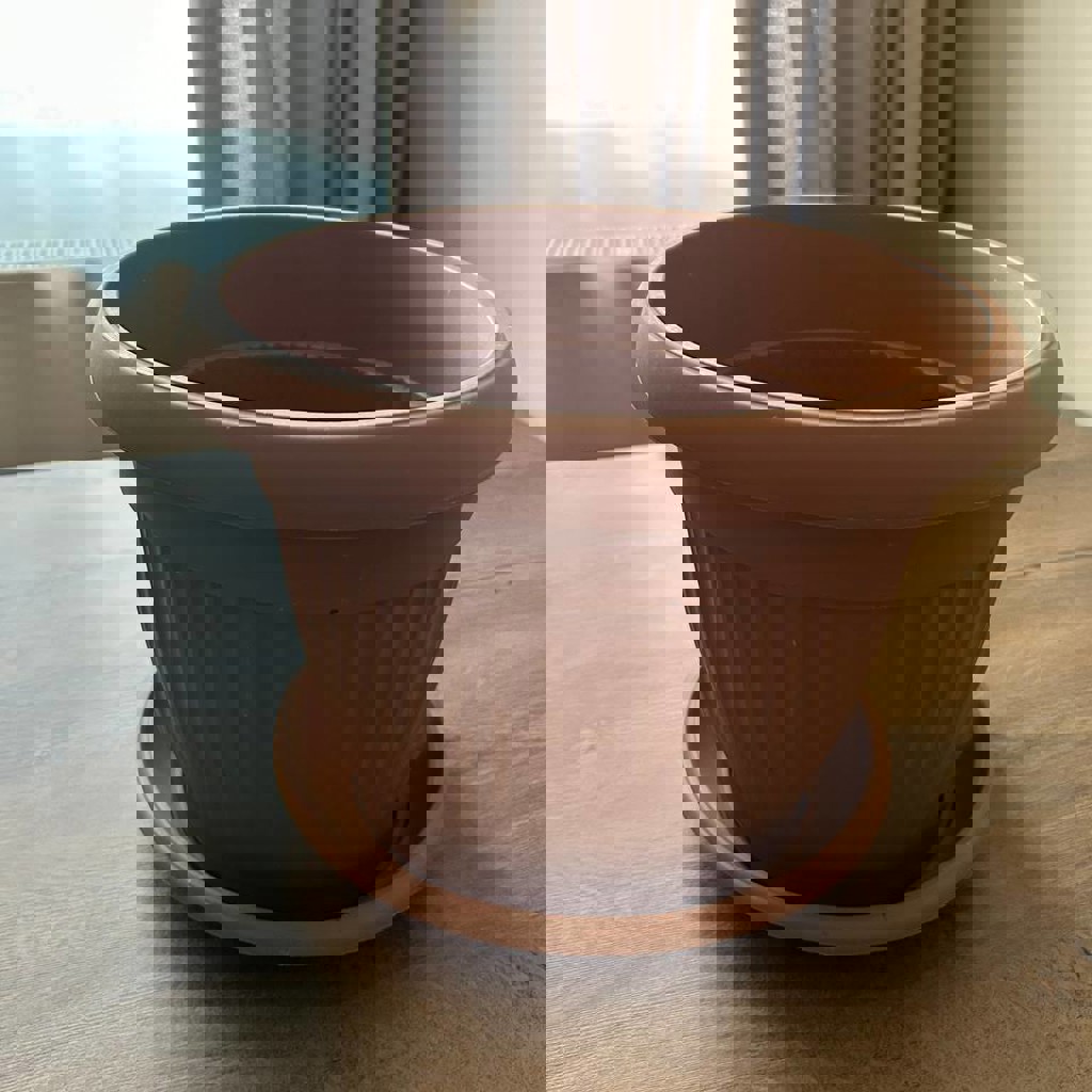 Ролик для спины