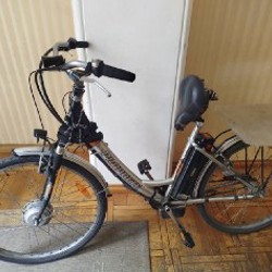 Электровелик - фото 4