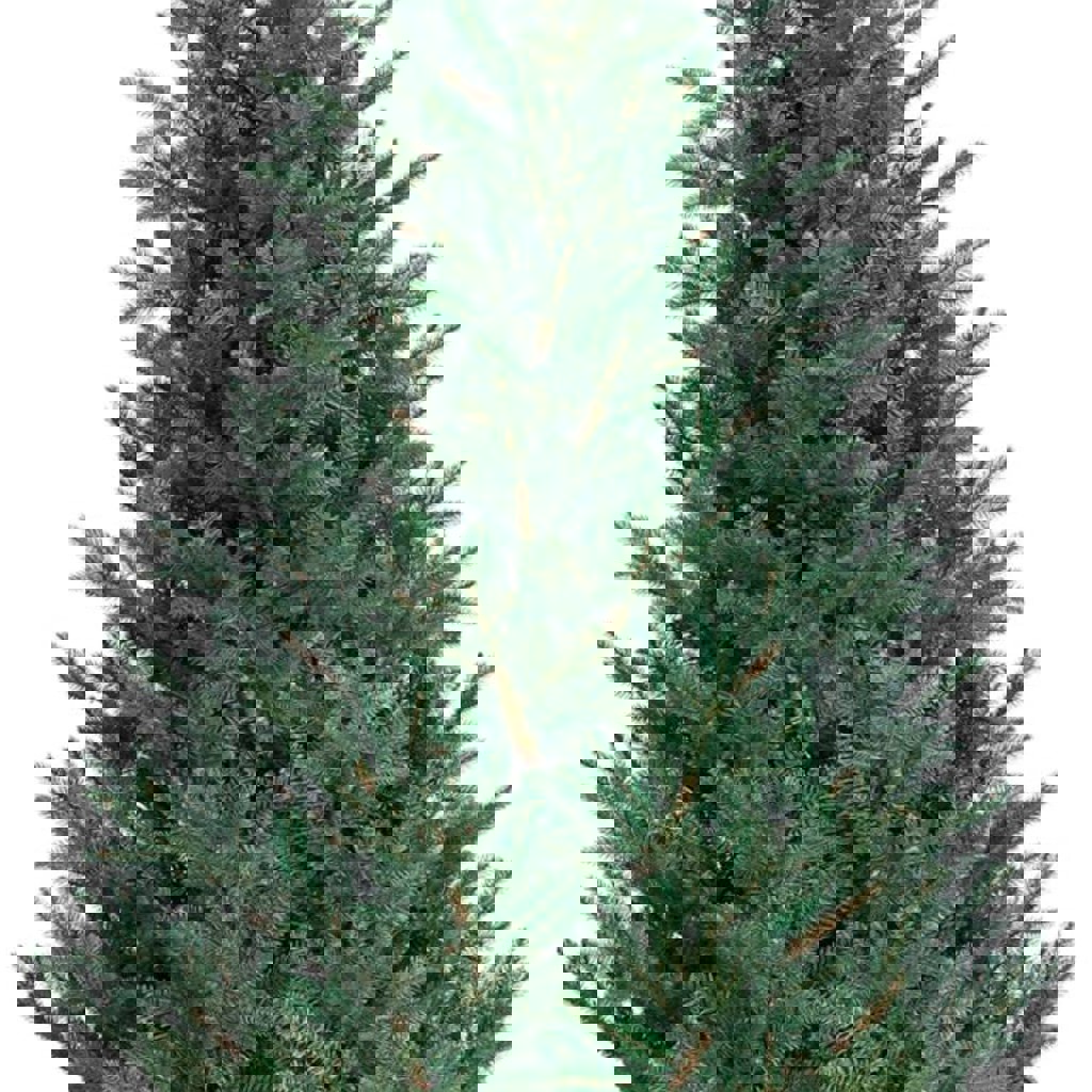 Искусственная елка black box trees