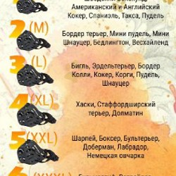 Намордник - фото 3