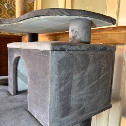 Игровой комплекс для кошек - фото 4