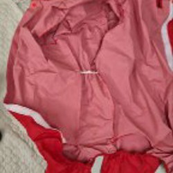 Комбинезон для собак - фото 3