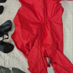 Комбинезон для собак - фото 4