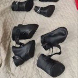 Комбинезон для собак - фото 6