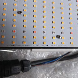 Фонарик для базилика - фото 5