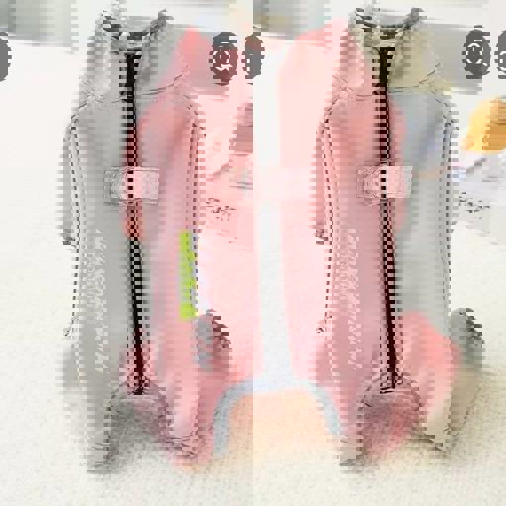 Костюм для маленькой собачки