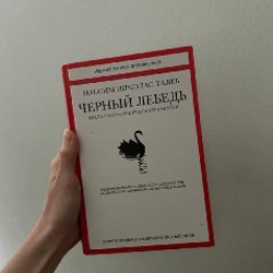 Книга Черный Лебедь - фото 1