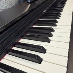 Цифровое пианино Casio Privia PX-770 - фото 3