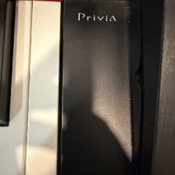 Цифровое пианино Casio Privia PX-770 - фото 4