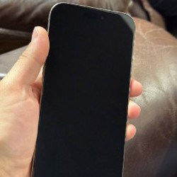 IPhone 16 Pro Max - фото 2