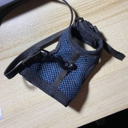 Шлейка для хорька, крысы, морской свинки - фото 3