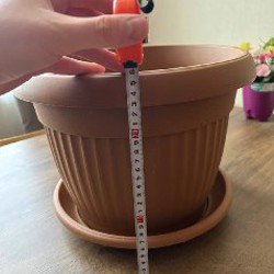 Ролик для спины - фото 6