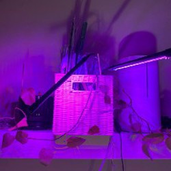 Crocs белые на платформе - фото 2