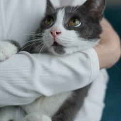 Луна - похитительница сердец - фото 2