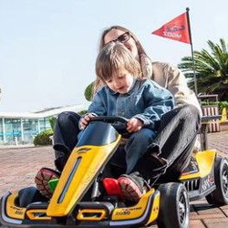 Скоростной электрокар-картинг - фото 3