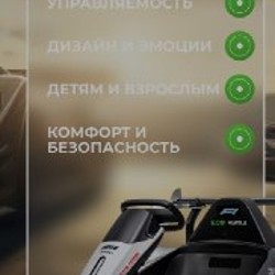 Скоростной электрокар-картинг - фото 4