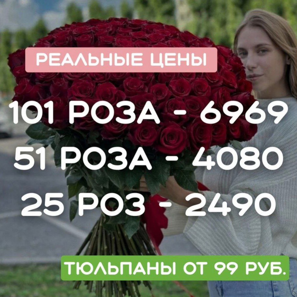 Голландские тюльпаны Премиум