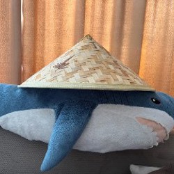 Азиатская шляпа - фото 3