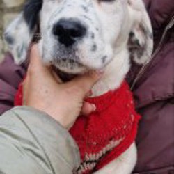 Малыши - фото 2