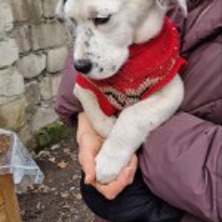 Малыши - фото 3