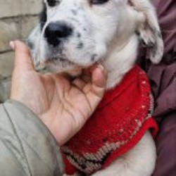 Малыши - фото 4