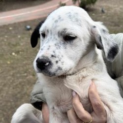 Малыши - фото 5