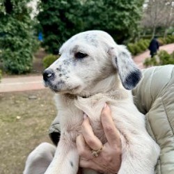 Малыши - фото 6