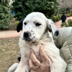 Малыши - фото 7