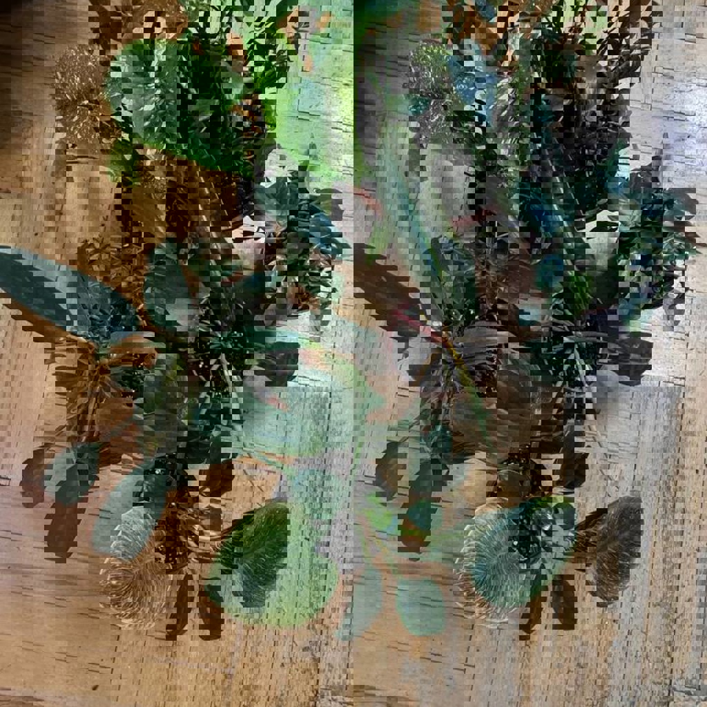 Весеннее цветочное расхламление